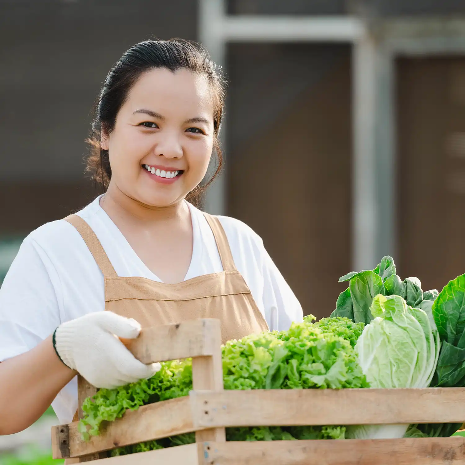J&T Express Việt Nam - Gửi hàng tươi sống